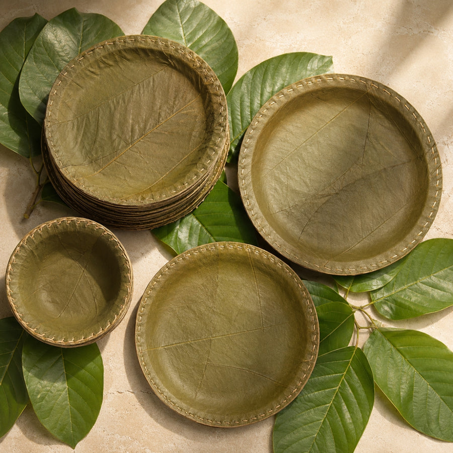 Sal Forest Leaf