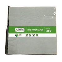 Premium 15.7 x 15.7 " 1-Ply 250 Pcs 1/8 Fold Dinner Napkins-12/Case