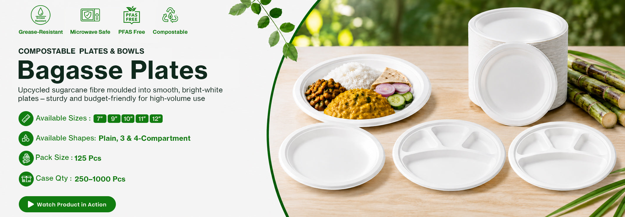 Bagasse Plates