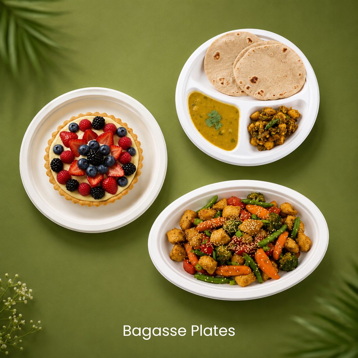 Bagasse Plates