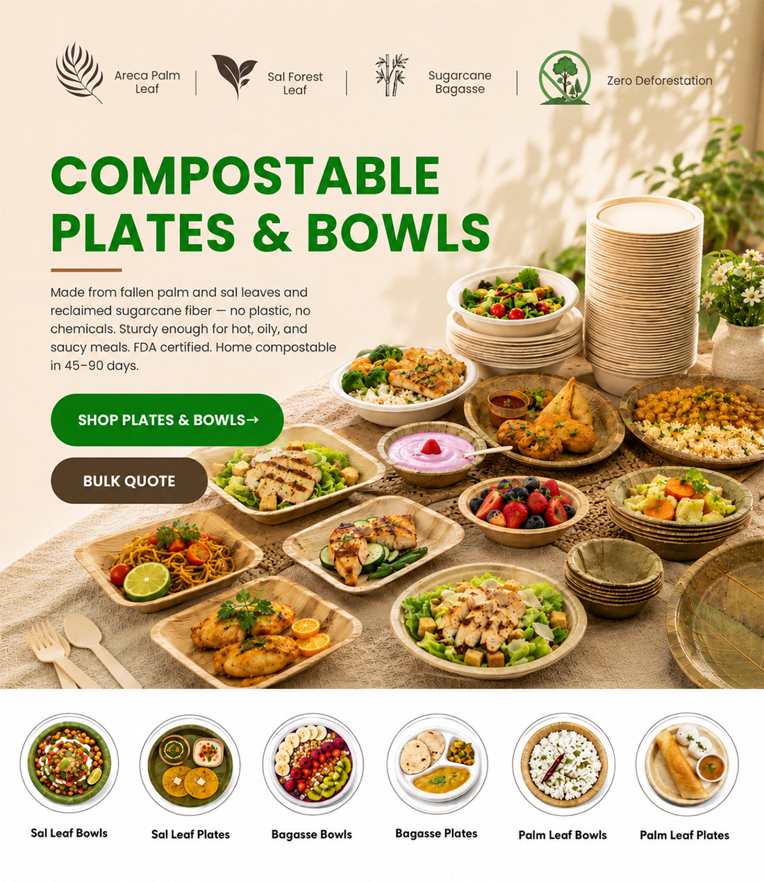 Compostable Plates & Bowl