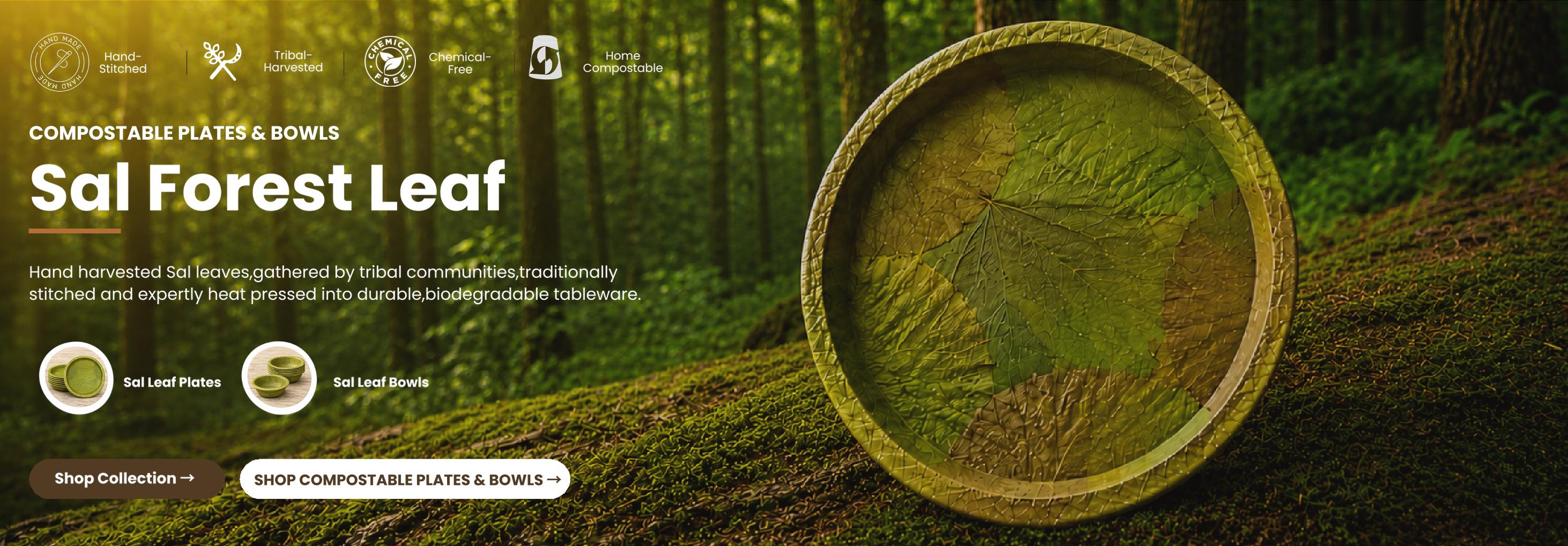 Compostable Plates & Bowls