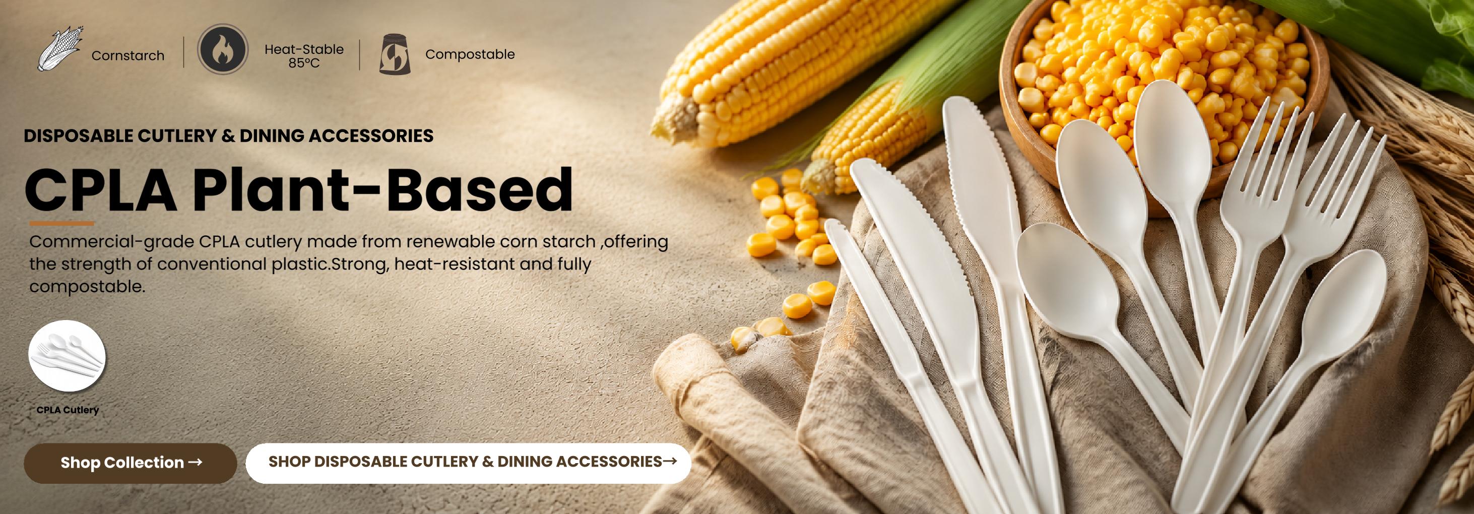 Disposable Cutlery
