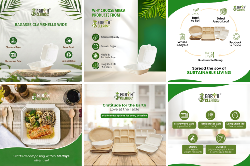 6*6 Compostable Sugarcane Bagasse Clamshells Wide