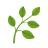 <p>Fast-renewing</p>